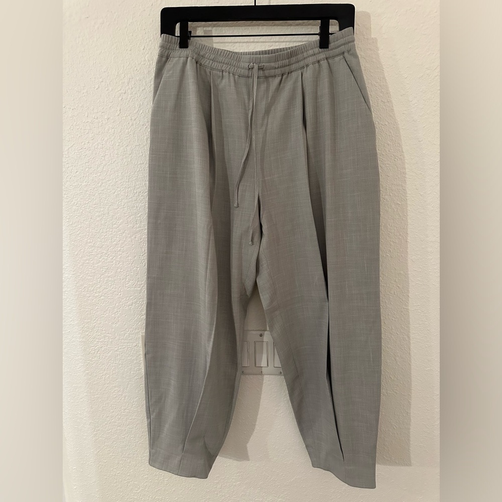 NWT Express pants